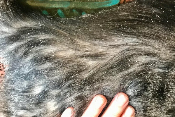 Scratching and flaky skin