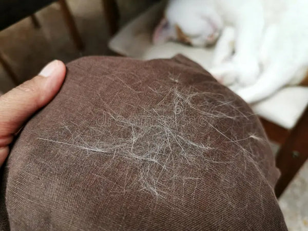 The shedding never stops